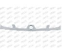 Grila radiator PRASCO RN9172001