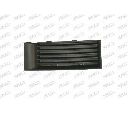 Grila ventilatie, bara protectie PRASCO SK3202124</br>Piesa auto pentru Elemente caroserie/Aripa/Bara protectie