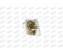 Dispersor, semnalizator PRASCO ST0254113</br>Piesa auto pentru Semnalizare / elemente