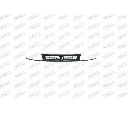 Grila radiator PRASCO ST0272001</br>Piesa auto pentru Elemente/Piese montaj
