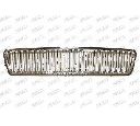 Grila radiator PRASCO VV0282000