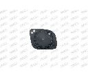 Sticla oglinda, oglinda retrovizoare exterioara PRASCO VW0207504</br>Piesa auto pentru Celula pasager