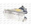 Proiector ceata PRASCO VW0304414