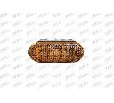 Semnalizator PRASCO VW0344139</br>Piesa auto pentru Semnalizare / elemente
