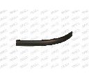 Banda de protectie, bara de protectie PRASCO VW0521244</br>Piesa auto pentru Elemente/Piese montaj
