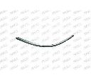 Banda de protectie, bara de protectie PRASCO VW0531248</br>Piesa auto pentru Elemente/Piese montaj