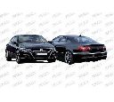 Aripa PRASCO VW6203003