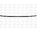 Banda de protectie, bara de protectie PRASCO VW9171245</br>Piesa auto pentru Elemente/Piese montaj