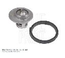 Termostat,lichid racire BLUE PRINT ADA109210C