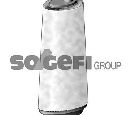 Filtru aer COOPERSFIAAM FILTERS FL9006</br>Piesa auto pentru Categorii