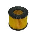 Filtru aer COOPERSFIAAM FILTERS FL9029</br>Piesa auto pentru Categorii