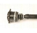 Planetara TRISCAN 8540 29643</br>Piesa auto pentru Angrenare roata