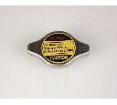 Buson,radiator TRISCAN 8610 17