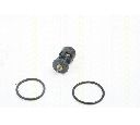 Termostat,lichid racire TRISCAN 8620 10187