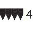 Curea transmisie cu caneluri TRISCAN 8640 401640