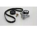 Set curea transmisie cu caneluri TRISCAN 8642 10012</br>Piesa auto pentru Piese de service/ Inspectie / Intretinere