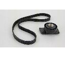 Set curea transmisie cu caneluri TRISCAN 8642 28013</br>Piesa auto pentru Curea transmisie cu caneluri/ Set