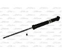 Amortizor Magnum Technology AG0014MT</br>Piesa auto pentru Suspensie