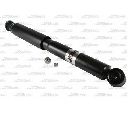 Amortizor Magnum Technology AG0310MT</br>Piesa auto pentru Suspensie