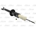 Amortizor Magnum Technology AG3003MT</br>Piesa auto pentru Suspensie