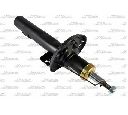 Amortizor Magnum Technology AGA004MT</br>Piesa auto pentru Suspensie