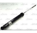 Amortizor Magnum Technology AGF053MT</br>Piesa auto pentru Suspensie
