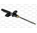 Amortizor Magnum Technology AGG119MT</br>Piesa auto pentru Suspensie