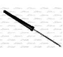 Amortizor Magnum Technology AGG125MT</br>Piesa auto pentru Suspensie