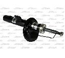 Amortizor Magnum Technology AGP045MT</br>Piesa auto pentru Suspensie