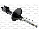Amortizor Magnum Technology AGR133MT</br>Piesa auto pentru Suspensie