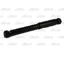 Amortizor Magnum Technology AGX061MT</br>Piesa auto pentru Suspensie