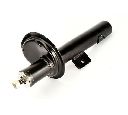 Amortizor Magnum Technology AHR041MT</br>Piesa auto pentru Suspensie