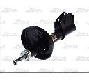 Amortizor Magnum Technology AHR052MT</br>Piesa auto pentru Suspensie