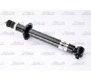 Amortizor Magnum Technology AHW025MT</br>Piesa auto pentru Suspensie