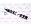 Amortizor Magnum Technology AHX012MT</br>Piesa auto pentru Suspensie