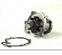 Pompa apa THERMOTEC D11052TT</br>Piesa auto pentru Pompa apa/ Garnitura
