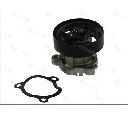 Pompa apa THERMOTEC D11067TT</br>Piesa auto pentru Pompa apa/ Garnitura