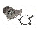 Pompa apa THERMOTEC D12043TT</br>Piesa auto pentru Pompa apa/ Garnitura