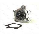 Pompa apa THERMOTEC D12072TT</br>Piesa auto pentru Pompa apa/ Garnitura