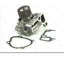 Pompa apa THERMOTEC D13008TT</br>Piesa auto pentru Pompa apa/ Garnitura