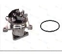 Pompa apa THERMOTEC D13038TT</br>Piesa auto pentru Pompa apa/ Garnitura