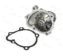 Pompa apa THERMOTEC D14044TT</br>Piesa auto pentru Pompa apa/ Garnitura