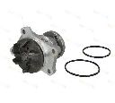 Pompa apa THERMOTEC D18010TT</br>Piesa auto pentru Pompa apa/ Garnitura