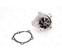 Pompa apa THERMOTEC D18014TT</br>Piesa auto pentru Pompa apa/ Garnitura