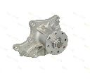 Pompa apa THERMOTEC D19024TT</br>Piesa auto pentru Pompa apa/ Garnitura