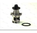 Pompa apa THERMOTEC D1B017TT</br>Piesa auto pentru Pompa apa/ Garnitura