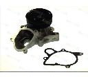 Pompa apa THERMOTEC D1B031TT</br>Piesa auto pentru Pompa apa/ Garnitura