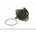 Pompa apa THERMOTEC D1D018TT</br>Piesa auto pentru Pompa apa/ Garnitura