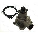 Pompa apa THERMOTEC D1G018TT</br>Piesa auto pentru Pompa apa/ Garnitura
