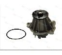 Pompa apa THERMOTEC D1G033TT</br>Piesa auto pentru Pompa apa/ Garnitura